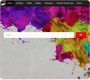 Web Application